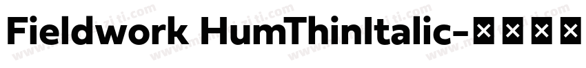 Fieldwork HumThinItalic字体转换